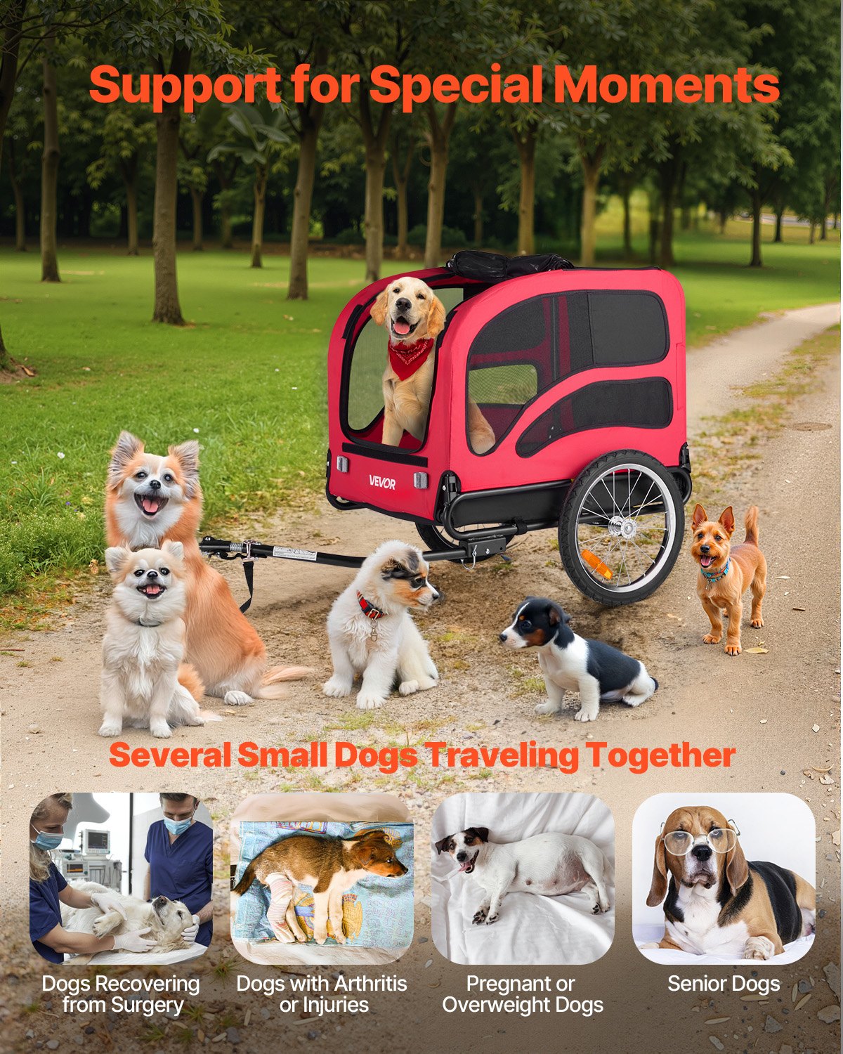 Dog Bike Trailer, Supports up to 45 kg, Pet Cart Bicycle Carrier for Small & Large Dogs, Easy Folding Frame with Quick Release Wheel, Universal Bicycle Coupler, Reflector, Flag, Internal Leash