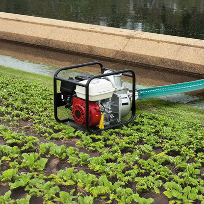 Sugslang, 51 mm (2 tum) x 6,1 m (20 fot), grön högkvalitativ slang, med Camlock-kopplingar och aluminiumkopplingar, passar olika pumpar, för avloppsrening, vattentransport och fler jordbruksändamål