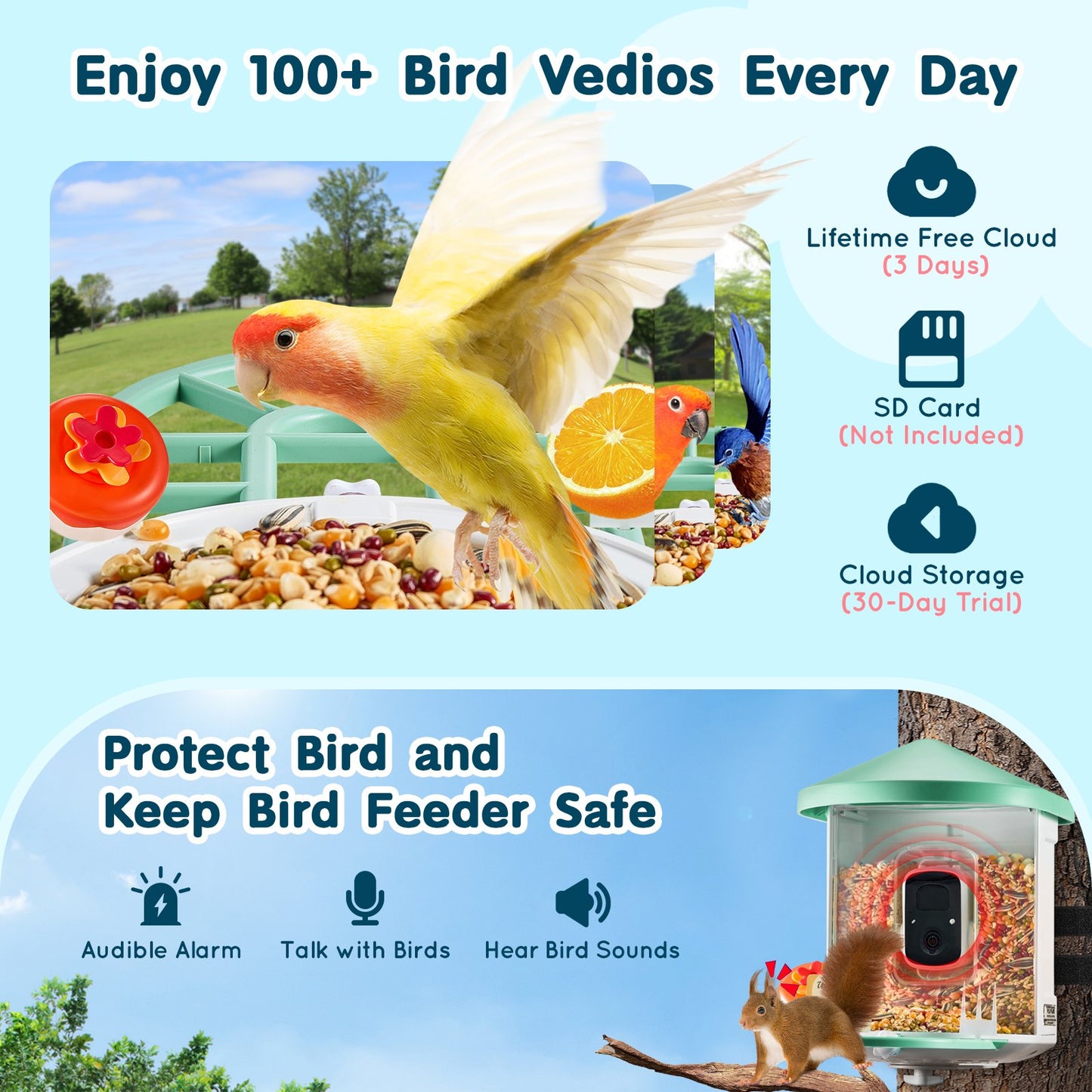 Smart Bird Feeder with Camera, 2K HD AI Identify 10000+ Bird Species, Solar-Powered Bird Watching Camera with Auto Capture & Instant Notify, Wireless Outdoor Gift for Bird Lover (3 Solar Panels)