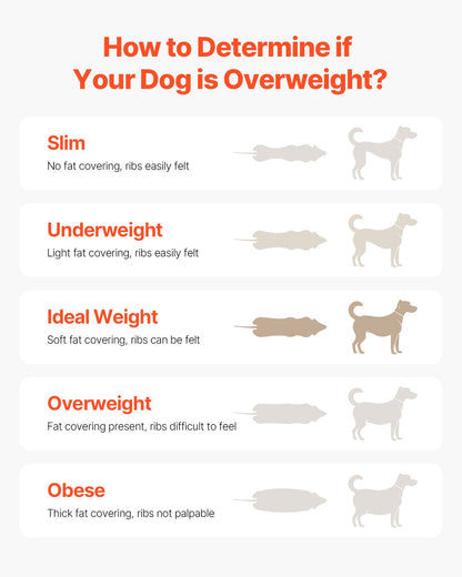 Löpband för medelstora hundar, viktkapacitet 145 kg, löpband för hundar med justerbara ramper, 40 cm löpbana för hundpacer, löpband för husdjur för inomhus- och utomhusträning