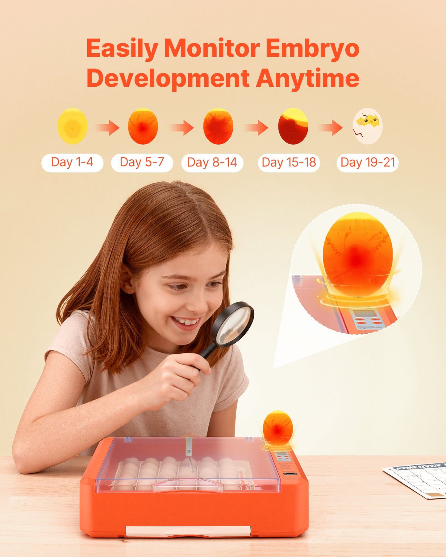 36 Egg Incubator, Automatic Egg Turner with LED Candler & Water Tray, Temperature & Humidity Control, 360° View Clear Window, Poultry Eggs Incubators for Hatching Chicks Ducks Goose Quails