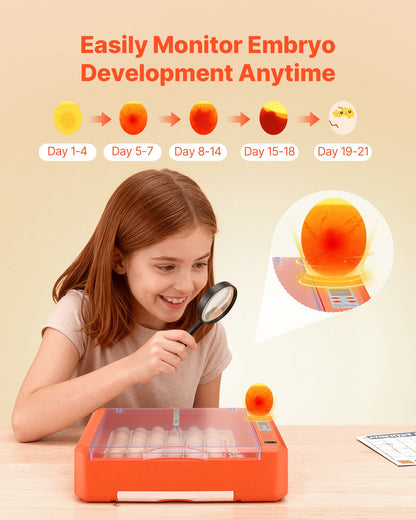 36 Egg Incubator, Automatic Egg Turner with LED Candler & Water Tray, Temperature & Humidity Control, 360° View Clear Window, Poultry Eggs Incubators for Hatching Chicks Ducks Goose Quails