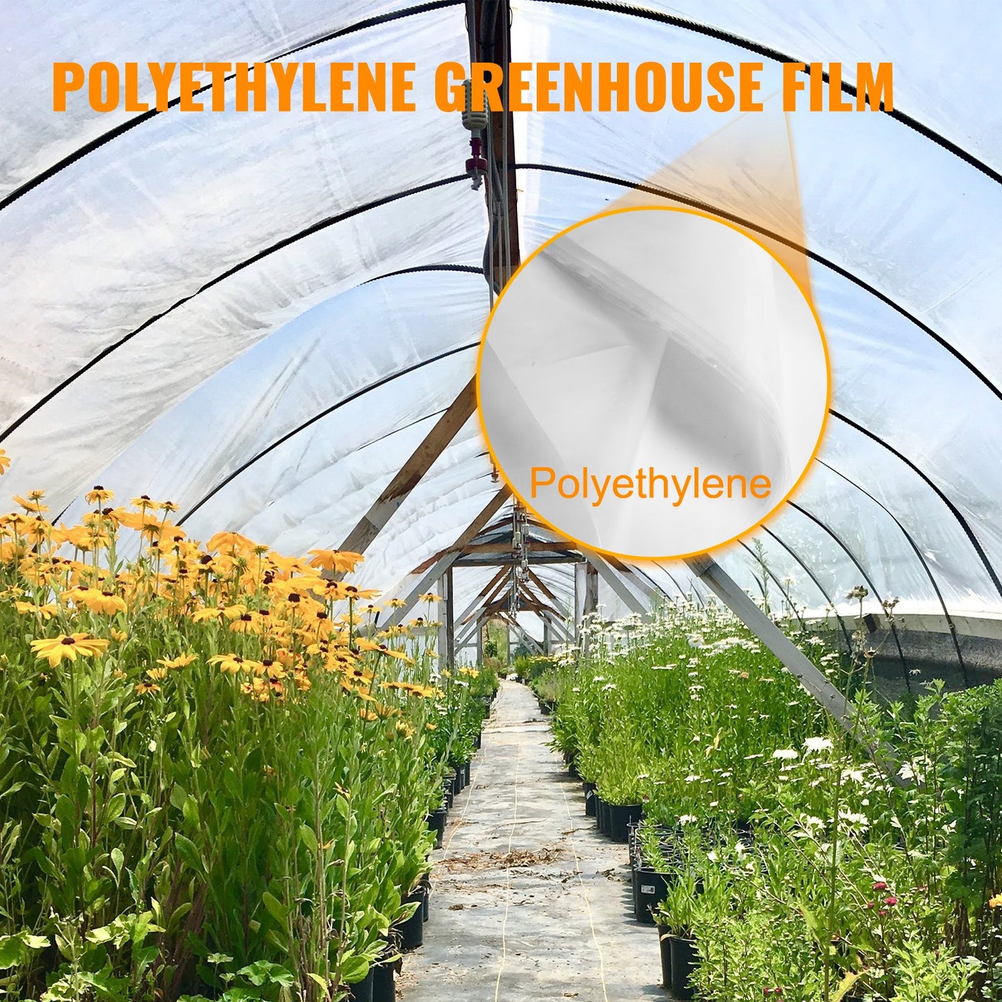 Greenhouse Film 24 x 50 ft, Greenhouse Polyethylene Film 6 Mil Thickness, Greenhouse Plastic Greenhouse Clear Plastic Film, Polyethylene Film Keep Warming, Superior Strength Toughness
