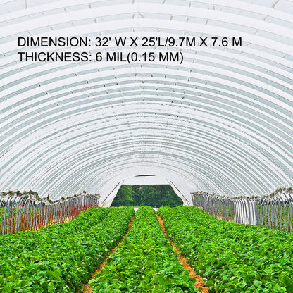 Greenhouse Film 32 x 25 ft, Greenhouse Polyethylene Film 6 Mil Thickness, Greenhouse Plastic Greenhouse Clear Plastic Film UV Resistant, Polyethylene Film Keep Warming, Superior Strength