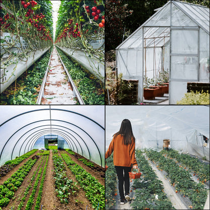Greenhouse Film 32 x 25 ft, Greenhouse Polyethylene Film 6 Mil Thickness, Greenhouse Plastic Greenhouse Clear Plastic Film UV Resistant, Polyethylene Film Keep Warming, Superior Strength