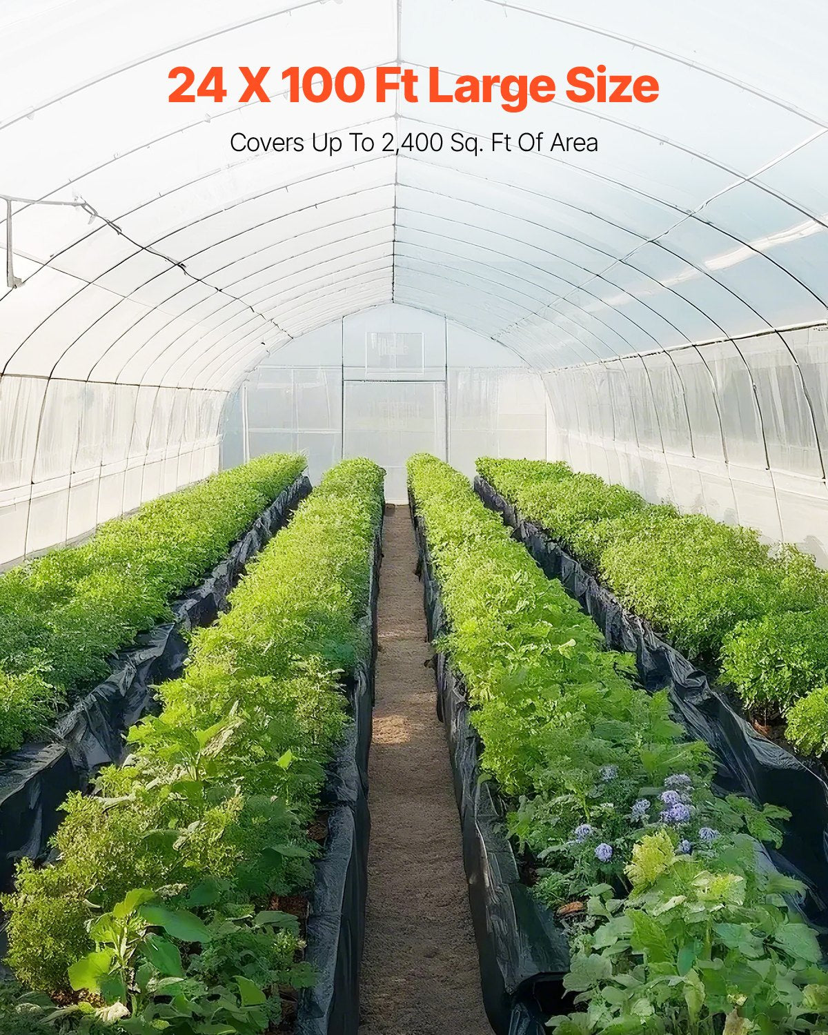 24' x 100' Plastic Sheeting Heavy Duty , 6 Mil Thick Plastic Sheeting Roll, Plastic Drop Cloth Painters Tarp, Polyethylene Covering for Crawl Space Vapor Barrier, Multi-Purpose, Black