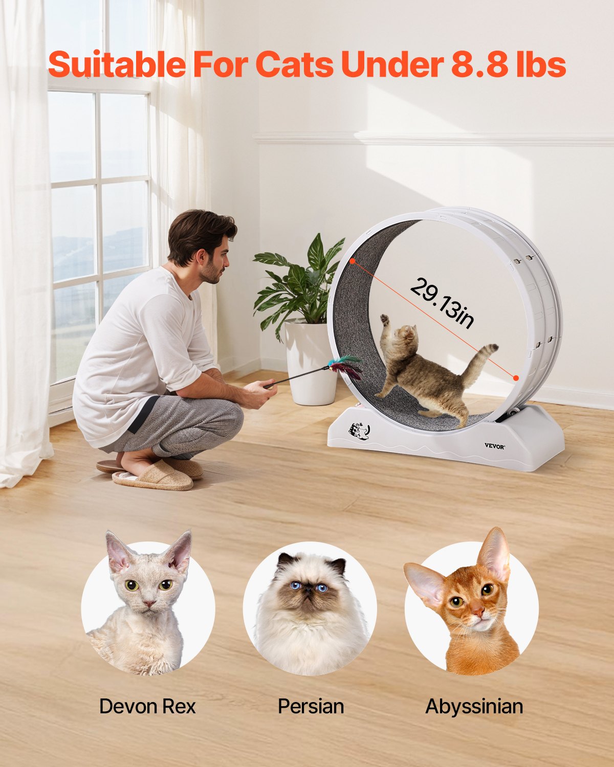 Cat Exercise Wheel, 31.5 in, Large Cat Running Wheel with Secure Brake & Carpeted Runway, Quiet Operation Cat Treadmill, Indoor Cats Exerciser Wheel for Pets Weight Loss & Health White