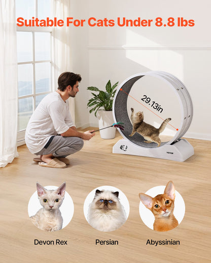 Cat Exercise Wheel, 31.5 in, Large Cat Running Wheel with Secure Brake & Carpeted Runway, Quiet Operation Cat Treadmill, Indoor Cats Exerciser Wheel for Pets Weight Loss & Health White