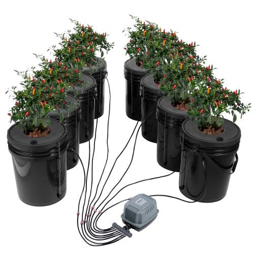 DWC hydroponiskt odlingssystem, hydroponiskt odlingssystem, djupvattenkultur, 5-gallon, 8 hinkar, DWC-system med luftpump, luftstenar och vattennivåanordning för bladgrönsaker
