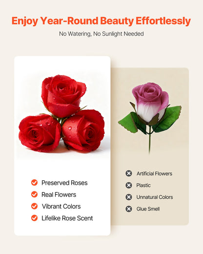 Forever Flowers, 27 Preserved Roses in a Box, Eternal Flowers Immortal Bouquet Birthday Present for Delivery Prime Women Her Wife Mothers, Anniversary, Valentine's Day,Christmas, Red