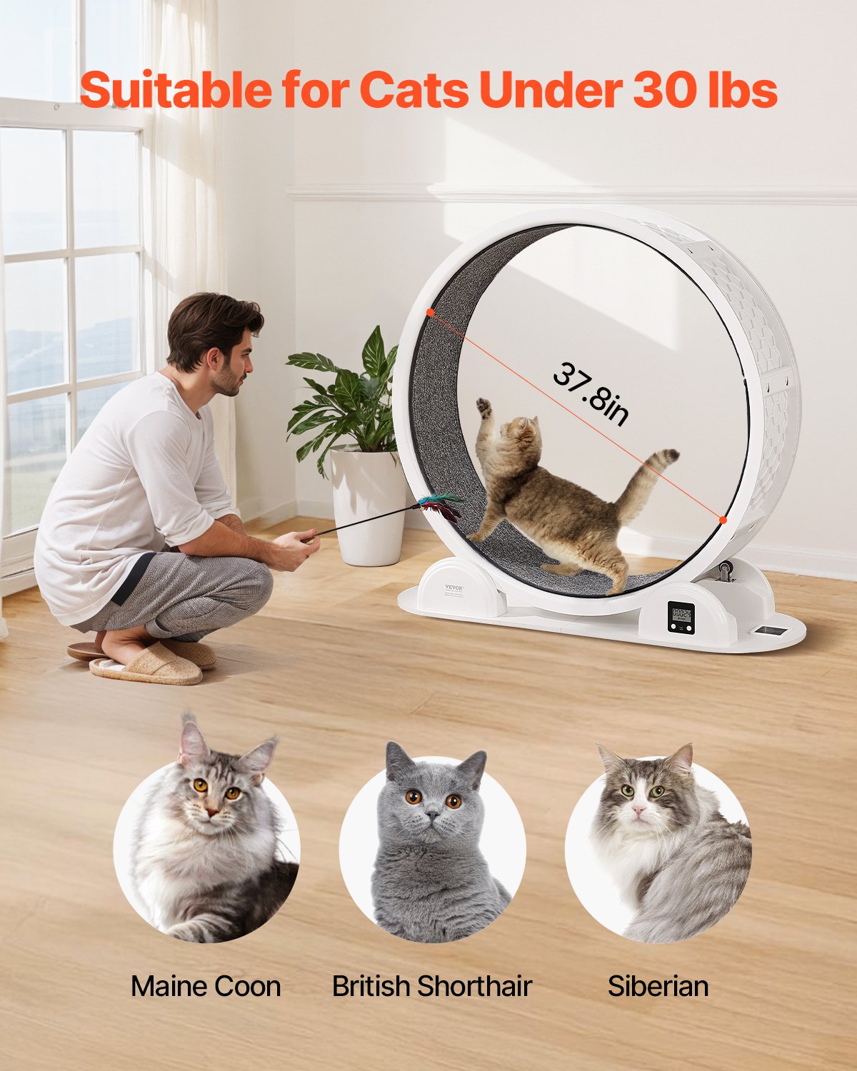Cat Exercise Wheel with Pedometer, 40.8 in, Cat Running Wheel with Brake & Carpeted Runway, Quiet Cat Treadmill for Indoor Cats Under 30lbs, Cat Exerciser for Pets Health & Fitness White