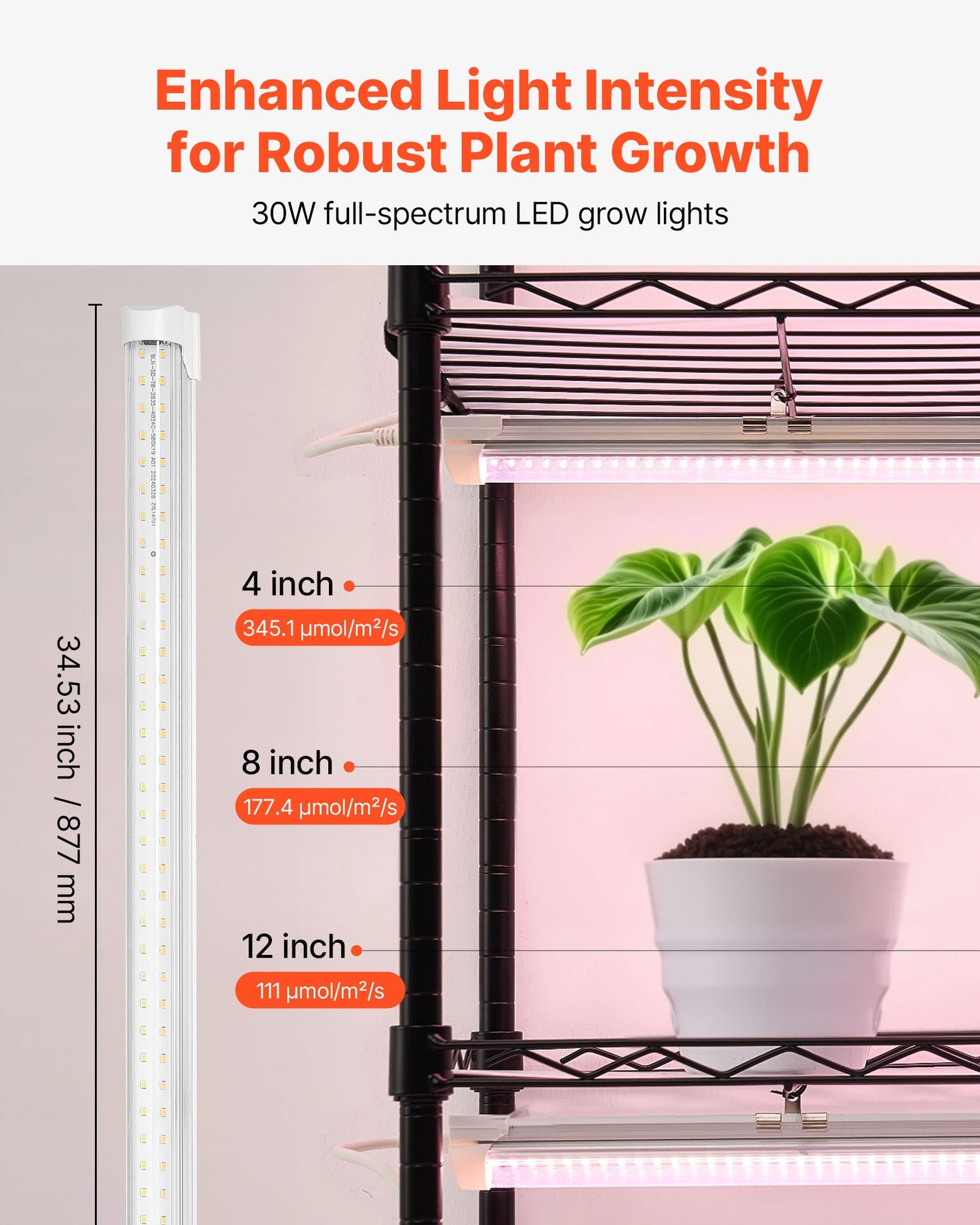 Plant Shelf with Grow Light, 6-Tier Indoor Plant Stand, 180cm Tall Indoor Plants Display Rack with Wheels & Timer, 150W 3800K Full Spectrum Grow Lights, Metal Flower Pot Holder for Seed Starting