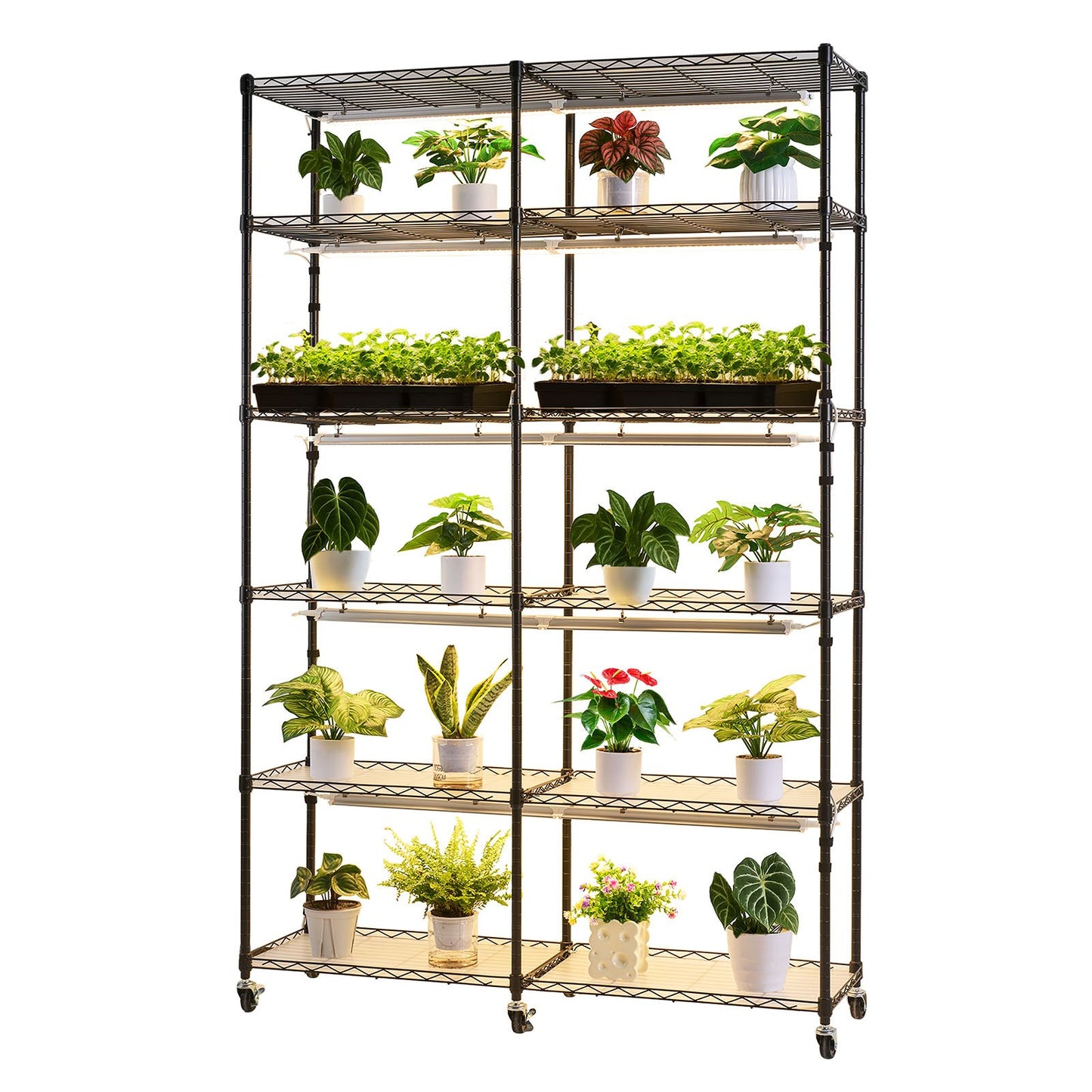 Plant Shelf with Grow Light, 6-Tier Double-Row Plant Stand, 180cm Tall Indoor Plants Display Rack with Wheels & Timer, 200W Full Spectrum Grow Lights, Metal Flower Pot Holder for Seed Starting